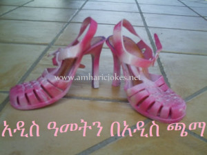 Amharic Puzzle Games @ http://ethiopuzzles.com/