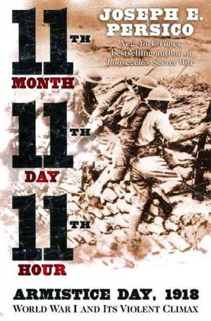 11th Month 11th Day, 11th Hour : Armistice Day, 1918 - World War I and ...