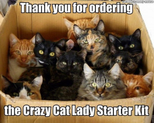 Crazy Cat Lady