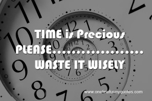 Time is precious, please waste it wisely.