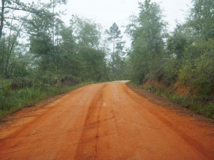 Red Dirt Road Red dirt road: william bartram