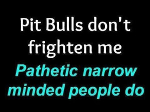 Pathetic Narrow Minded PeopleDogs, Quotes, Bullying Pitspitti, Pitbull ...