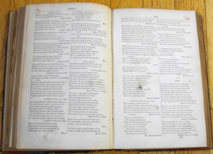 classic poetry quotes