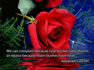 can complain because rose bushes have thorns, or rejoice because thorn ...