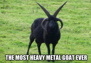 The most heavy metal goat ever