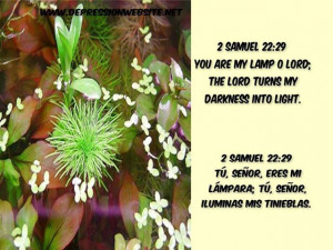 christian quotes about life 2 Samuel 22 29