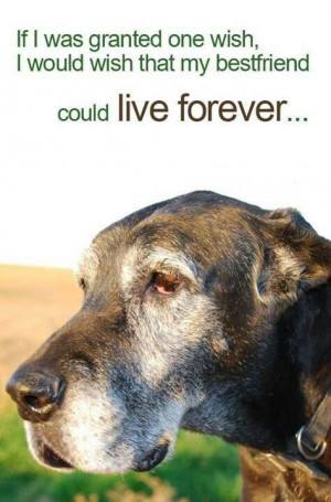 wish my best friend could live forever