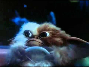 Gremlins: Gizmo goes driving! haha I so want one, he's so cute