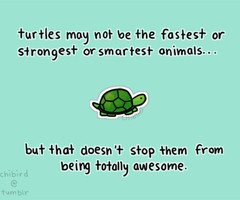 Sometimes people are sad that they don’t have... - chibird