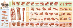 Pork Meat Cuts Diagram