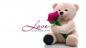 Happy Teddy Bear Day 2015 SMS – cute teddy bears for Valentines day