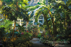 The Mortal Instruments: City of Bones movie - The Greenhouse