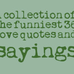 collection of the funniest 36 love quotes and sayings