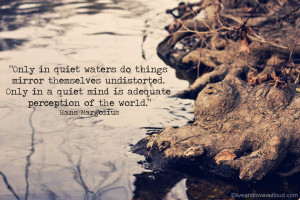 Only In Quiet Waters Do Things Mirror Themselves Undisturbed Quote ...
