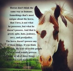 Horses make better friends :) More