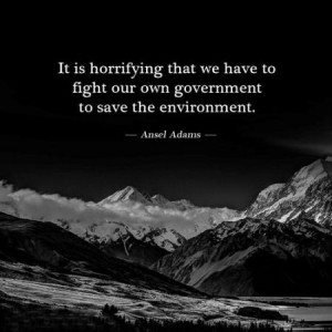 ... that we have to fight our own government to save the environment