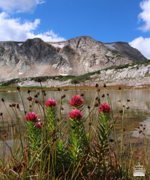 Man is constraint; Nature is freedom to me.