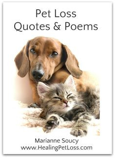 Pet Loss Quotes and Poems