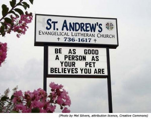 ... . Funny church signs: St. Andrew's Evangelical Lutheran Church