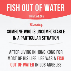 Fish out of water