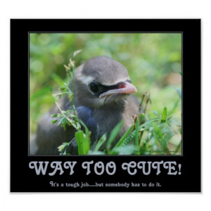 Way Too Cute Baby Bird Funny Poster