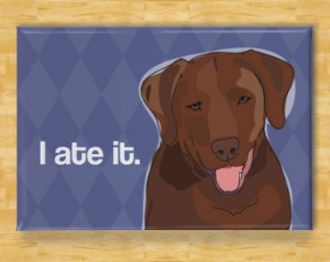 Dog Magnet with Labrador Retriever - I Ate It - Chocolate Lab Gifts ...