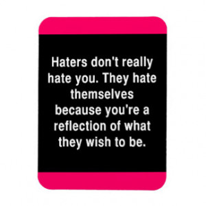 THE TRUTH ABOUT HATERS QUOTE COMMENTS ATTITUDE MAGNET