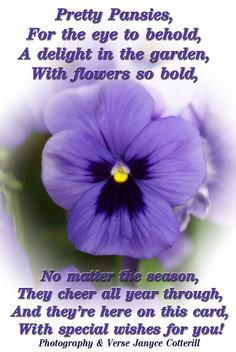 One of my own pansy verses - feel free to use this or any of my other ...