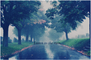 beautiful, beauty, listen, rain, road, trees, wonderland