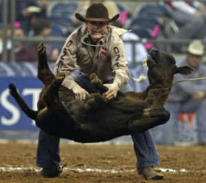 Tuf Cooper during tie-down roping event at the rodeo in Reliant ...