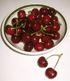 BRIAN SIBLEY : his blog