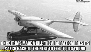 Aircraft Personification Hodgepodge Funny Pictures Add Funny
