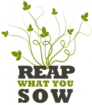 reap what you sow