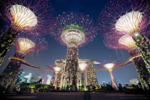 Solar powered-supertrees-singapore hd wallpapers