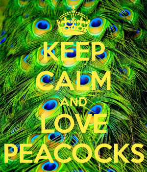 KEEP CALM AND LOVE PEACOCKS