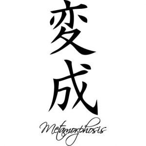 Chinese Symbol Metamorphosis
