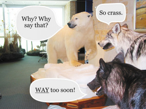 Pictures+of+funny+animals+with+guns