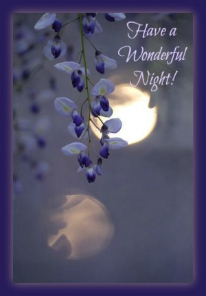 Have a Wonderful Night!