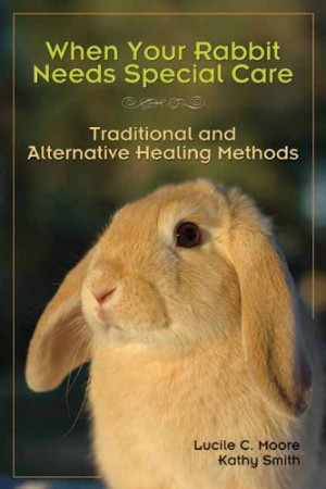 When Your Rabbit Needs Special Care: Traditional and Alternative ...