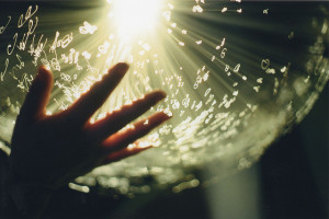 Our beneficiaries are using InP owerment Principles of social service ...