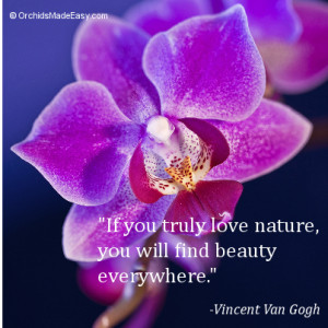 Orchid Quote