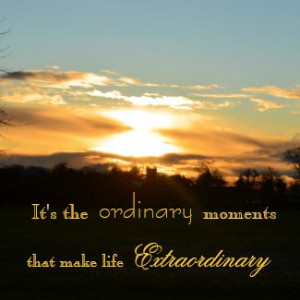 Ordinary Life Moments Magnet by QuoteLife