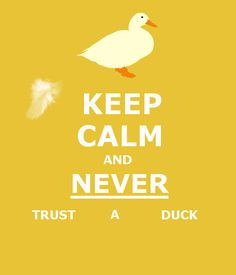 ... herondale things will herondale quotes funny jace herondale herondale