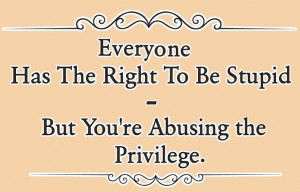 Insult Quote: Everyone has the right to be stupid,...