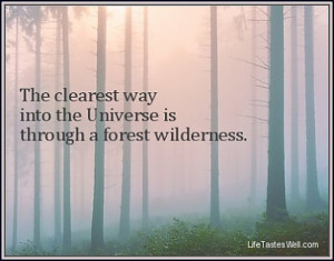... way into the Universe is through a forest wilderness. John Muir Quotes