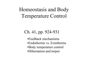 Homeostasis and Body Temperature Control HD Wallpaper