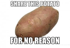 funny pictures - just share this potato for no reason