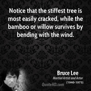 Notice that the stiffest tree is most easily cracked, while the bamboo ...