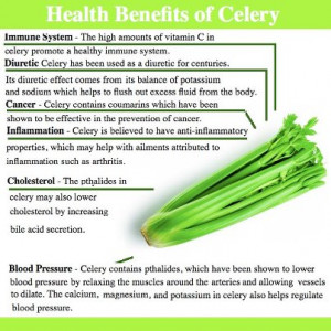 First, this is not the way to diet! Secondly, celery actually has ...