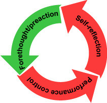 ... phases seem to emerge in the acquisition of self-regulation skills